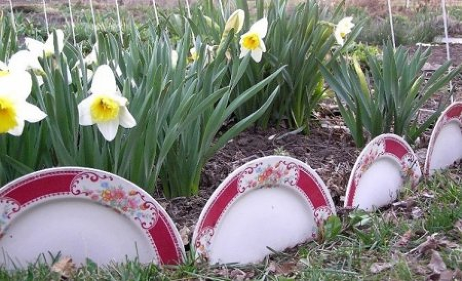 Ограждение для клумбы из мелких фаянсовых тарелок