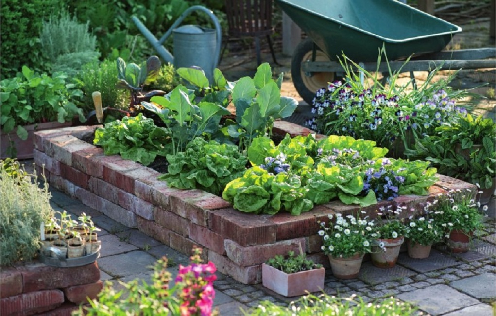 Ограждение клумбы из кирпича