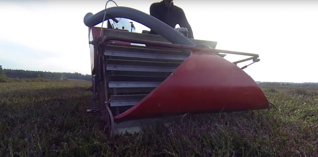 Приспособление для сбора ягод брусники