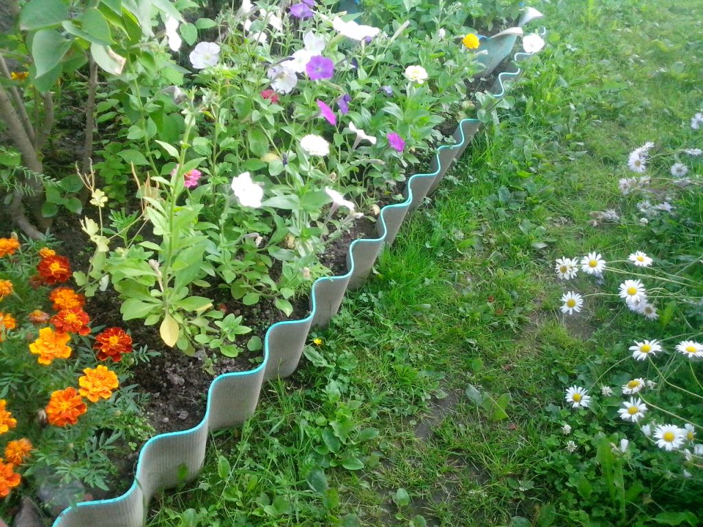 Шифер в качестве бордюра для клумбы