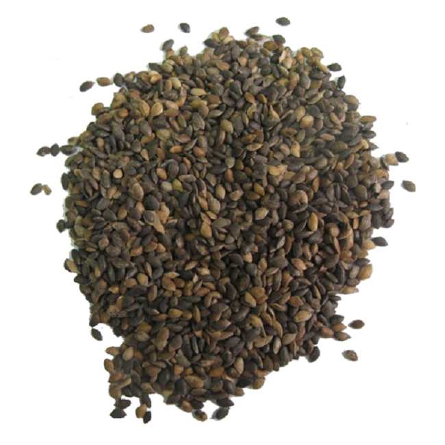 Семена клюквы