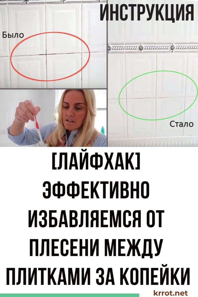 Избавляемся от плесени