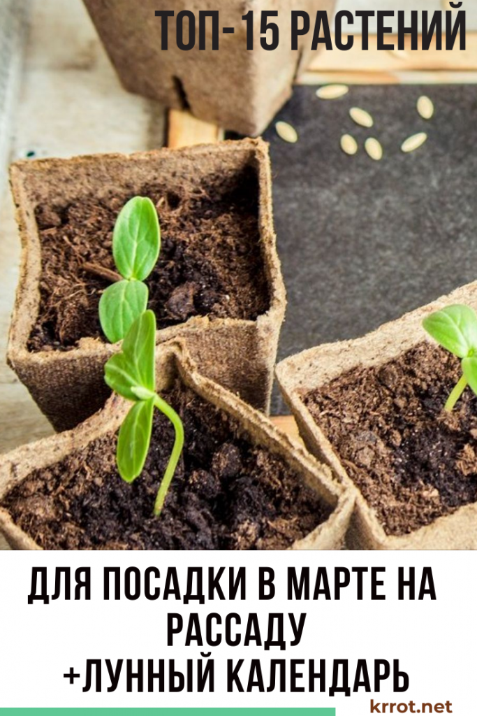в марте на рассаду