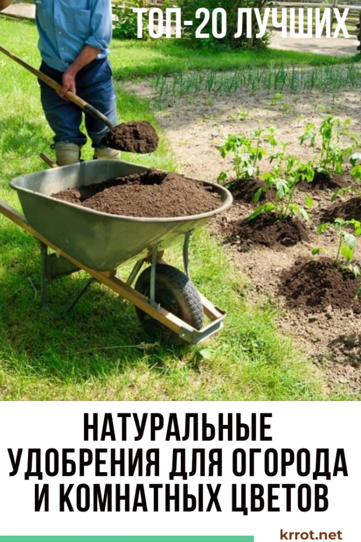 ТОП-20 Лучших Натуральных Удобрений для Огорода