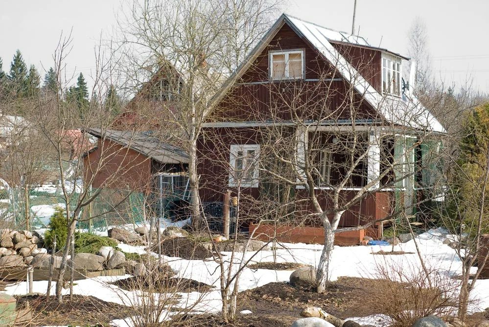 Ранняя весна в саду