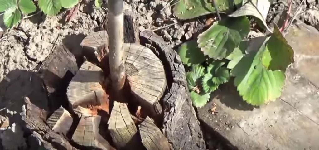 Внутрь отверстия в пне ставим ломик и начинаем разламывать пень