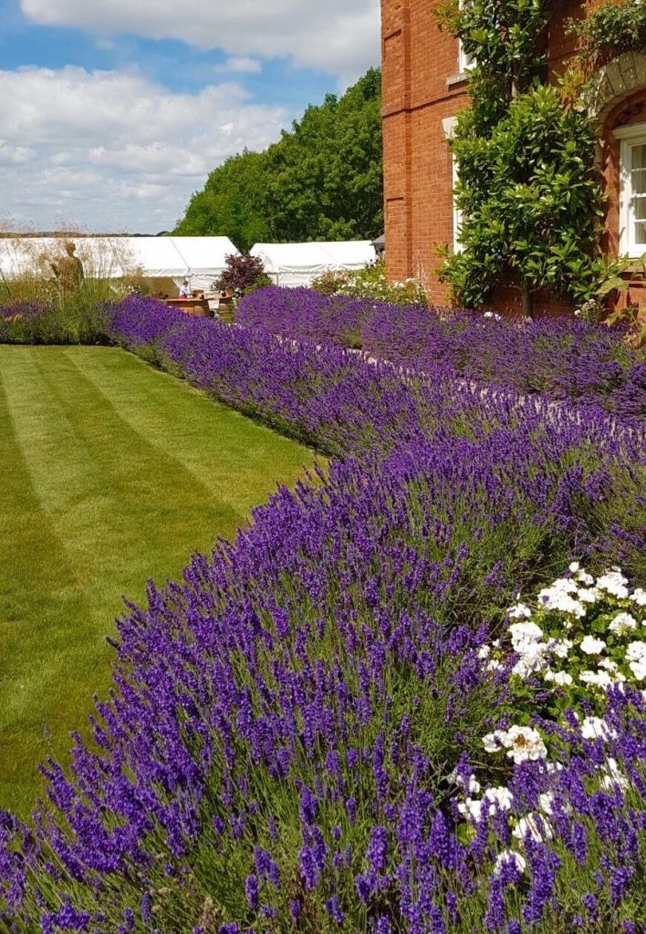 Лаванда в ландшафтном дизайне: наиболее распространенные образы оформления на даче | (50+ Фото & Видео) +Отзывы Лаванда в ландшафтном дизайне: наиболее распространенные образы оформления на даче | (50+ Фото & Видео) +Отзывы