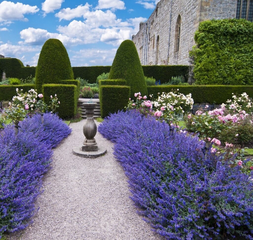 Лаванда в ландшафтном дизайне: наиболее распространенные образы оформления на даче | (50+ Фото & Видео) +Отзывы Лаванда в ландшафтном дизайне: наиболее распространенные образы оформления на даче | (50+ Фото & Видео) +Отзывы