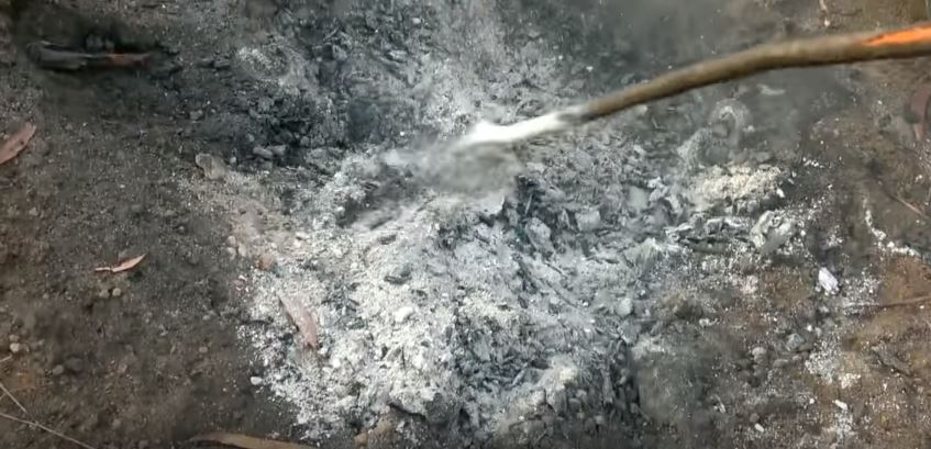 От пня не осталось и следа