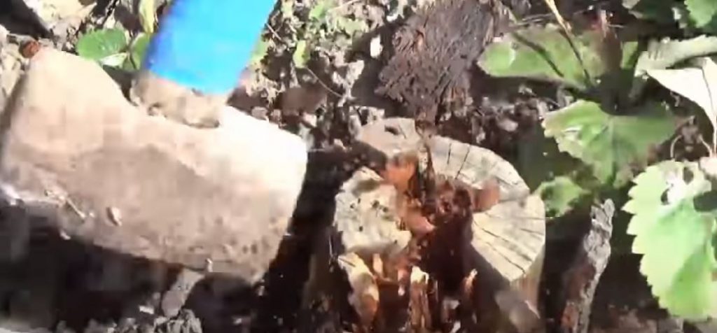 Берем кувалду и бьем по пню с боков