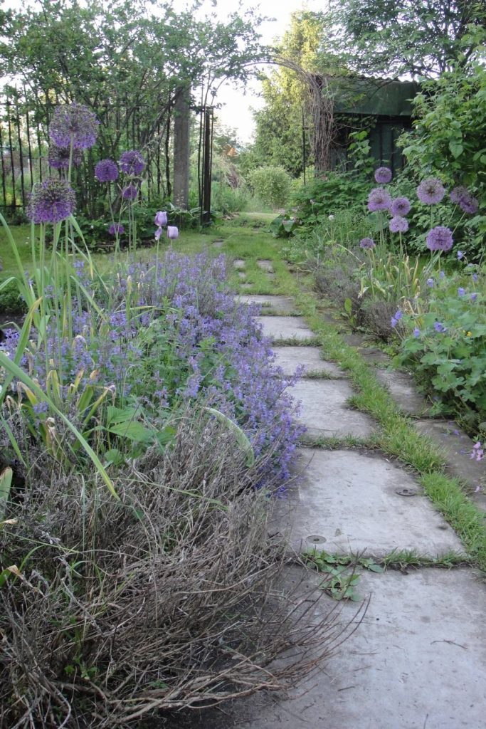 Лаванда в ландшафтном дизайне: наиболее распространенные образы оформления на даче | (50+ Фото & Видео) +Отзывы Лаванда в ландшафтном дизайне: наиболее распространенные образы оформления на даче | (50+ Фото & Видео) +Отзывы