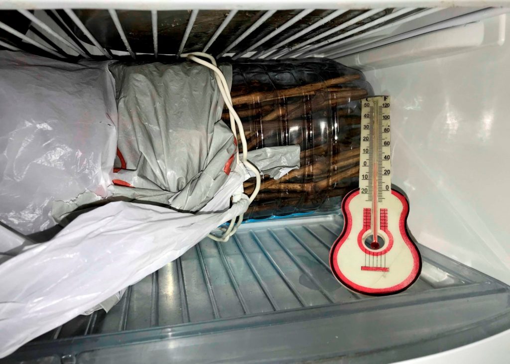 Хранение черенков в холодильнике с контролем температуры