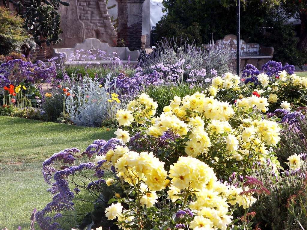 Лаванда в ландшафтном дизайне: наиболее распространенные образы оформления на даче | (50+ Фото & Видео) +Отзывы Лаванда в ландшафтном дизайне: наиболее распространенные образы оформления на даче | (50+ Фото & Видео) +Отзывы