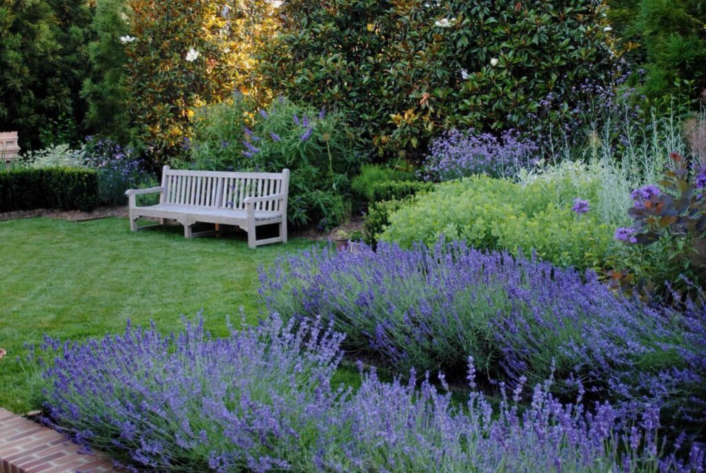 Лаванда в ландшафтном дизайне: наиболее распространенные образы оформления на даче | (50+ Фото & Видео) +Отзывы Лаванда в ландшафтном дизайне: наиболее распространенные образы оформления на даче | (50+ Фото & Видео) +Отзывы