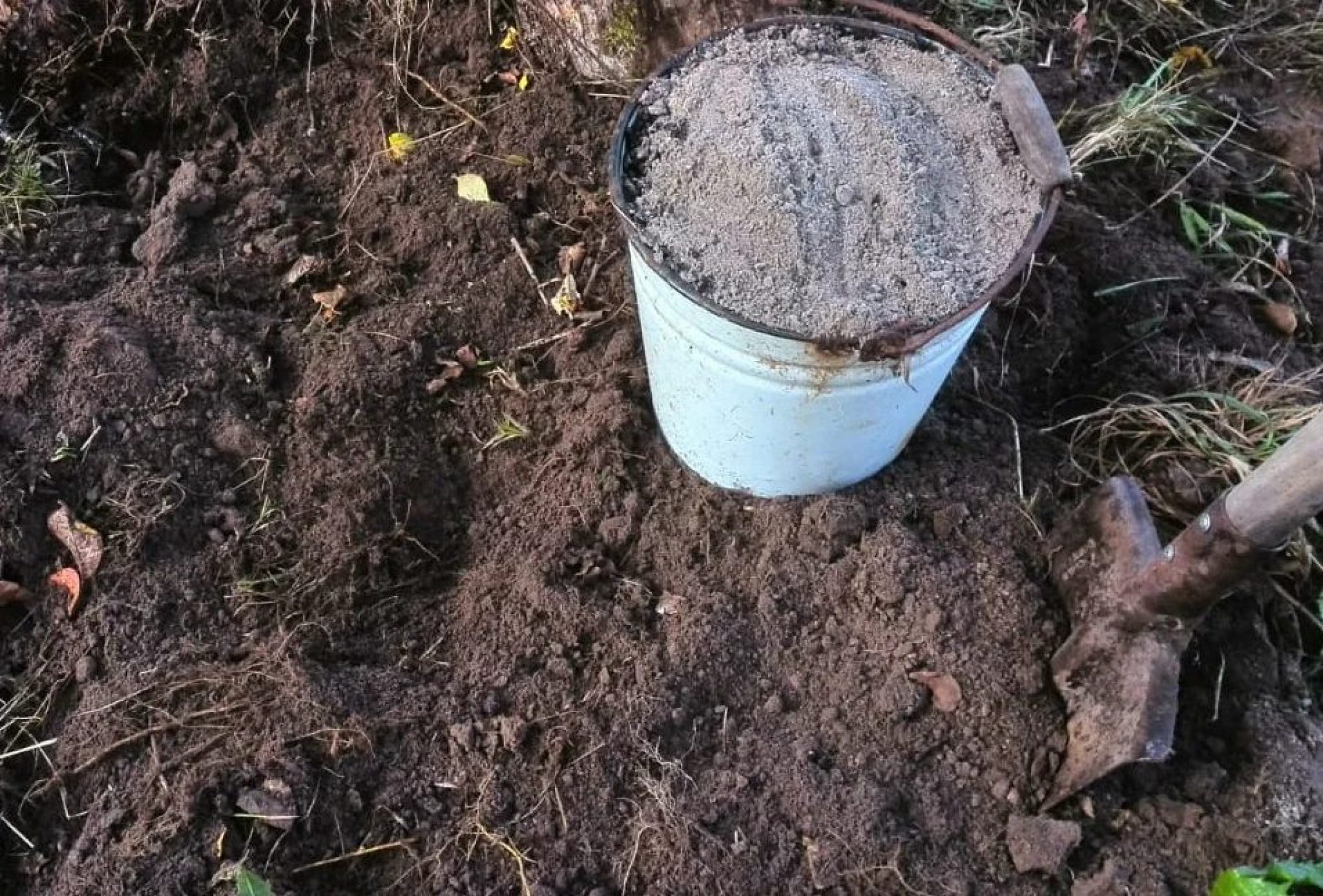 ТОП-7 Способов Как Раскислить Почву на Огороде