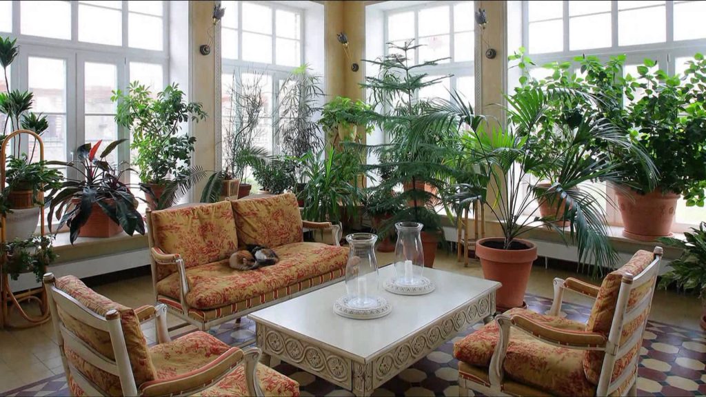 Жилой зимний сад