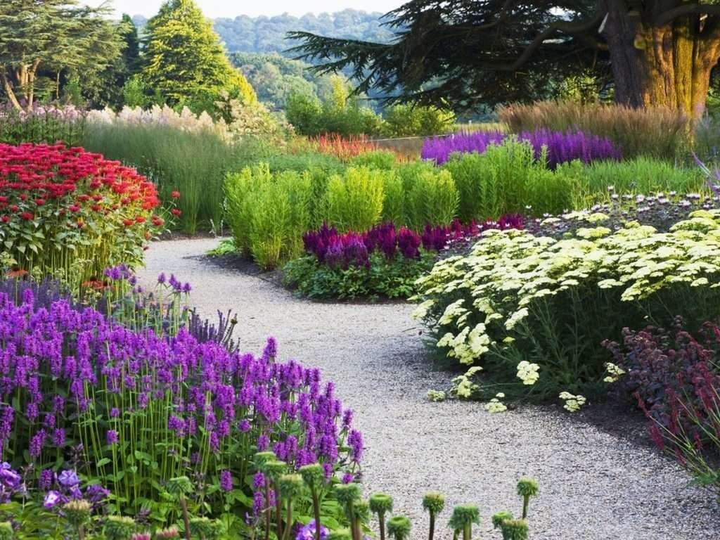 Лаванда в ландшафтном дизайне: наиболее распространенные образы оформления на даче | (50+ Фото & Видео) +Отзывы Лаванда в ландшафтном дизайне: наиболее распространенные образы оформления на даче | (50+ Фото & Видео) +Отзывы