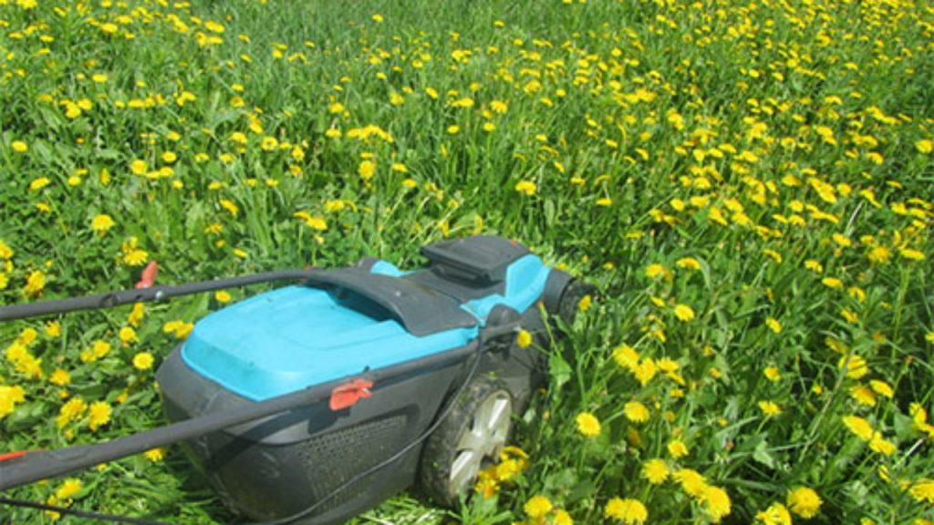 Когда ситуация выходит из-под контроля, то без массового удаления полей одуванчиков не обойтись