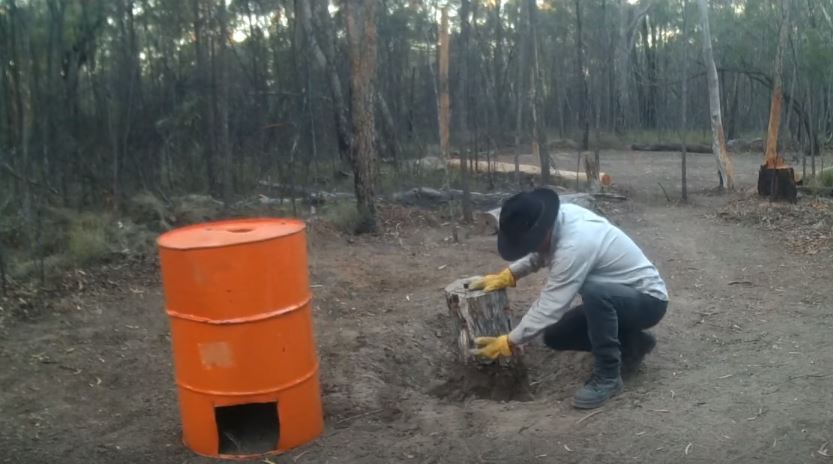 Лопатой обкапываем старый пень