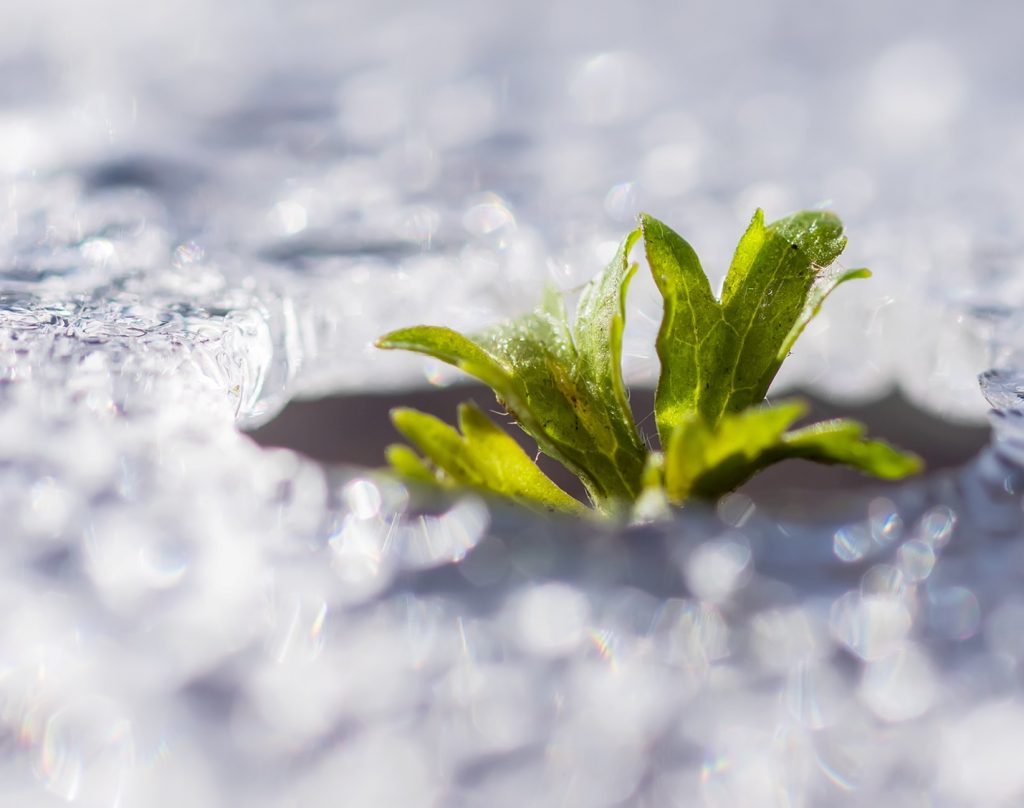 Вода - источник жизни