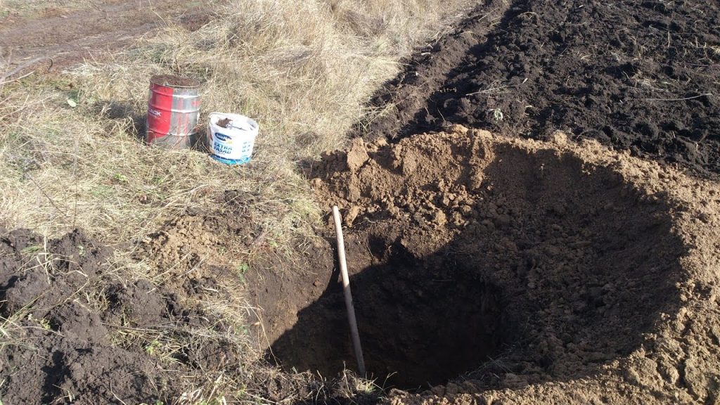 Предварительная подготовка посадочных ям с закладыванием в них удобрений