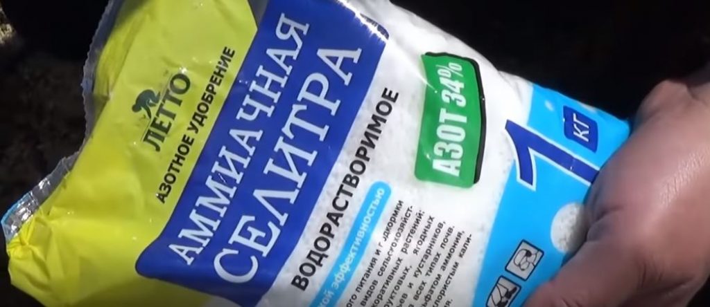Берем аммиачную селитру