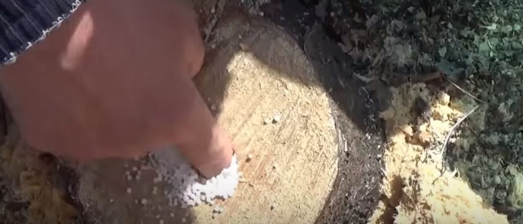 Немного утрамбовали селитру пальцем