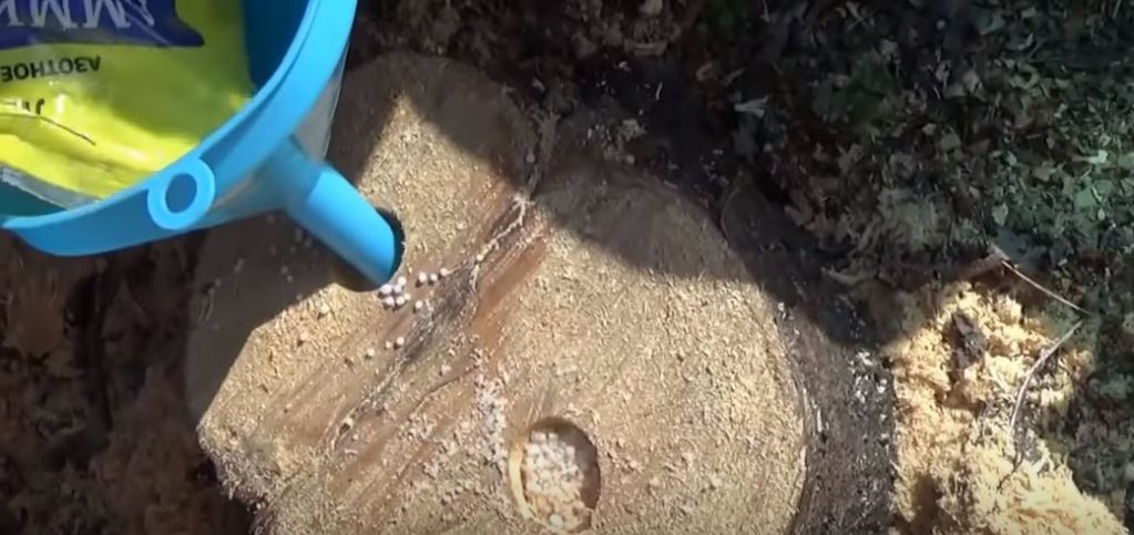 Досыпаем еще селитры