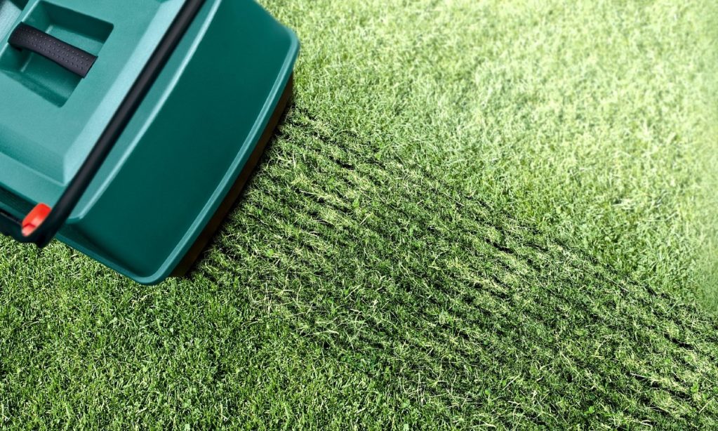 Вариант механического прореживания и аэрации газона