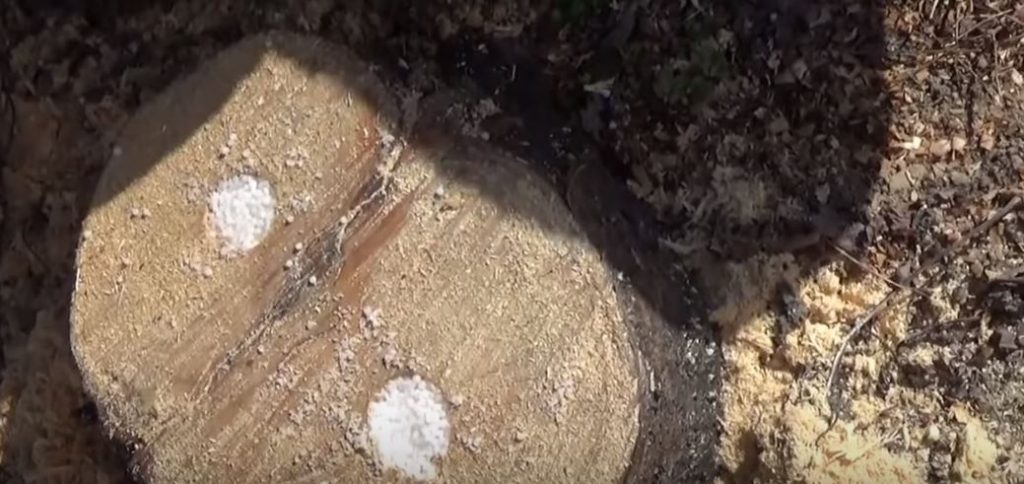 В результате вот что у нас получилось