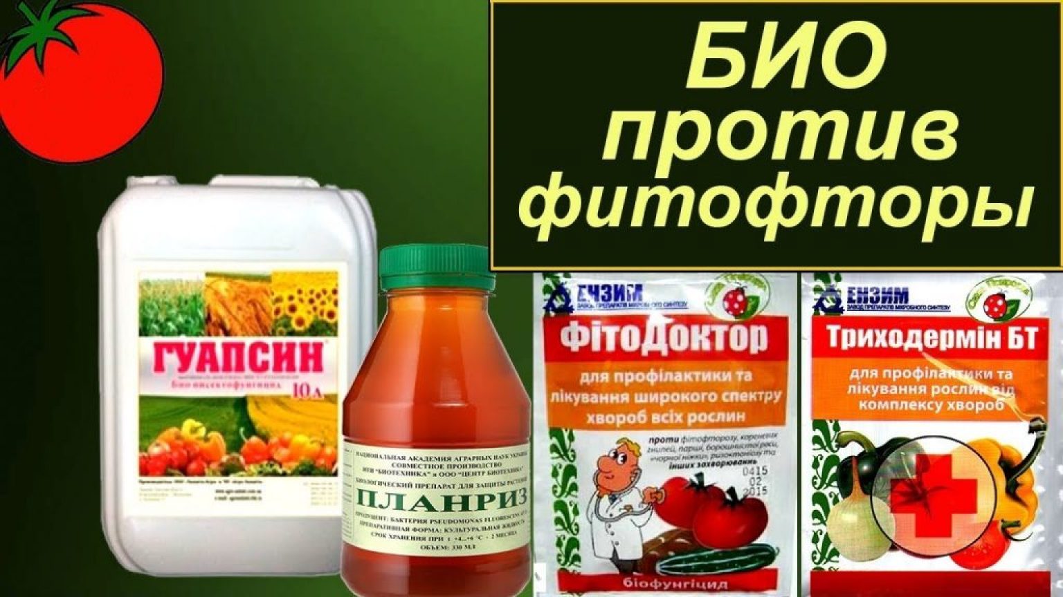 Сенная Палочка: Применение для Сада и Огорода