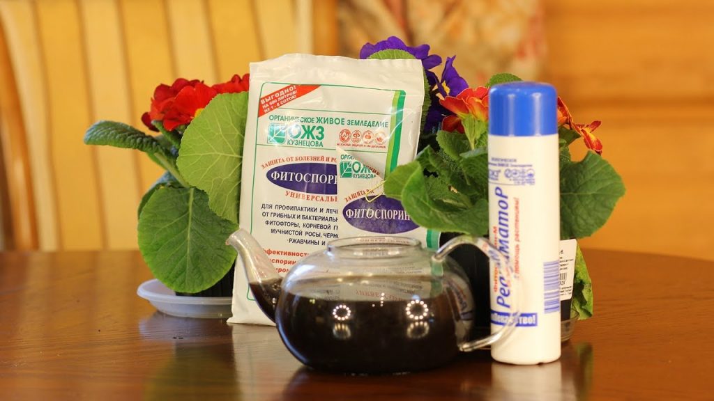 Фитоспорин - применение в огороде и для комнатных растений