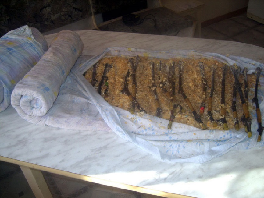 Хранение черенков в опилках