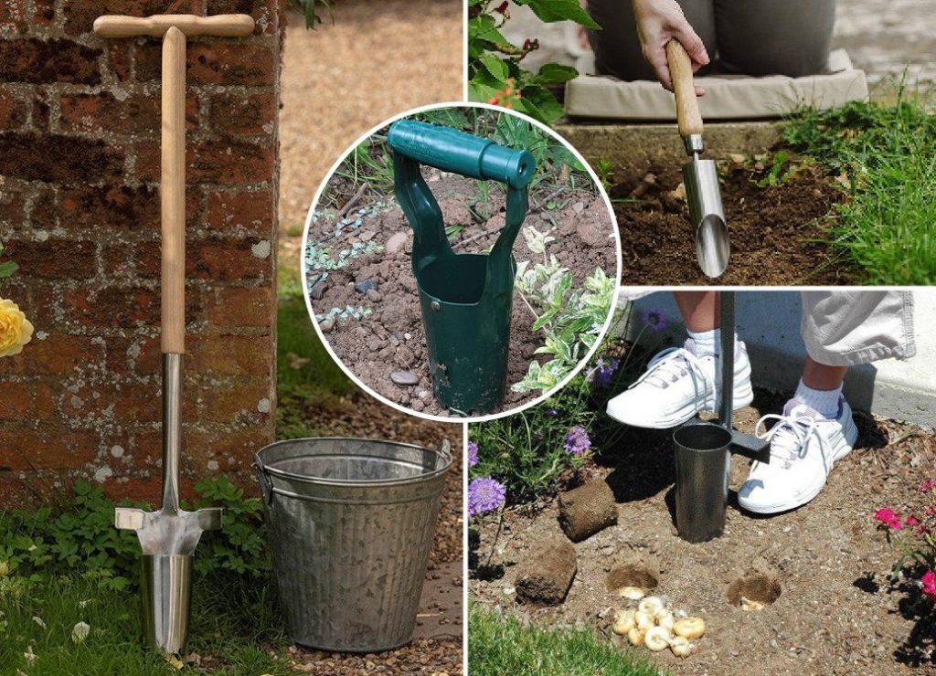 Лучшие сажалки для луковичных