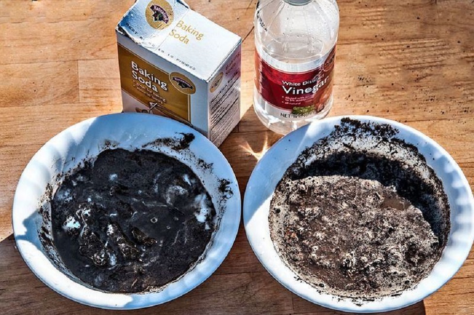 Определение кислотности почвы с помощью уксуса и соды