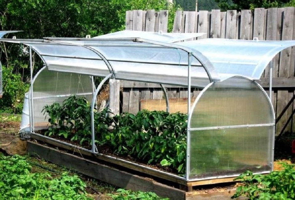 Парник типа «бабочка» – идеальное решение для быстрого проветривания