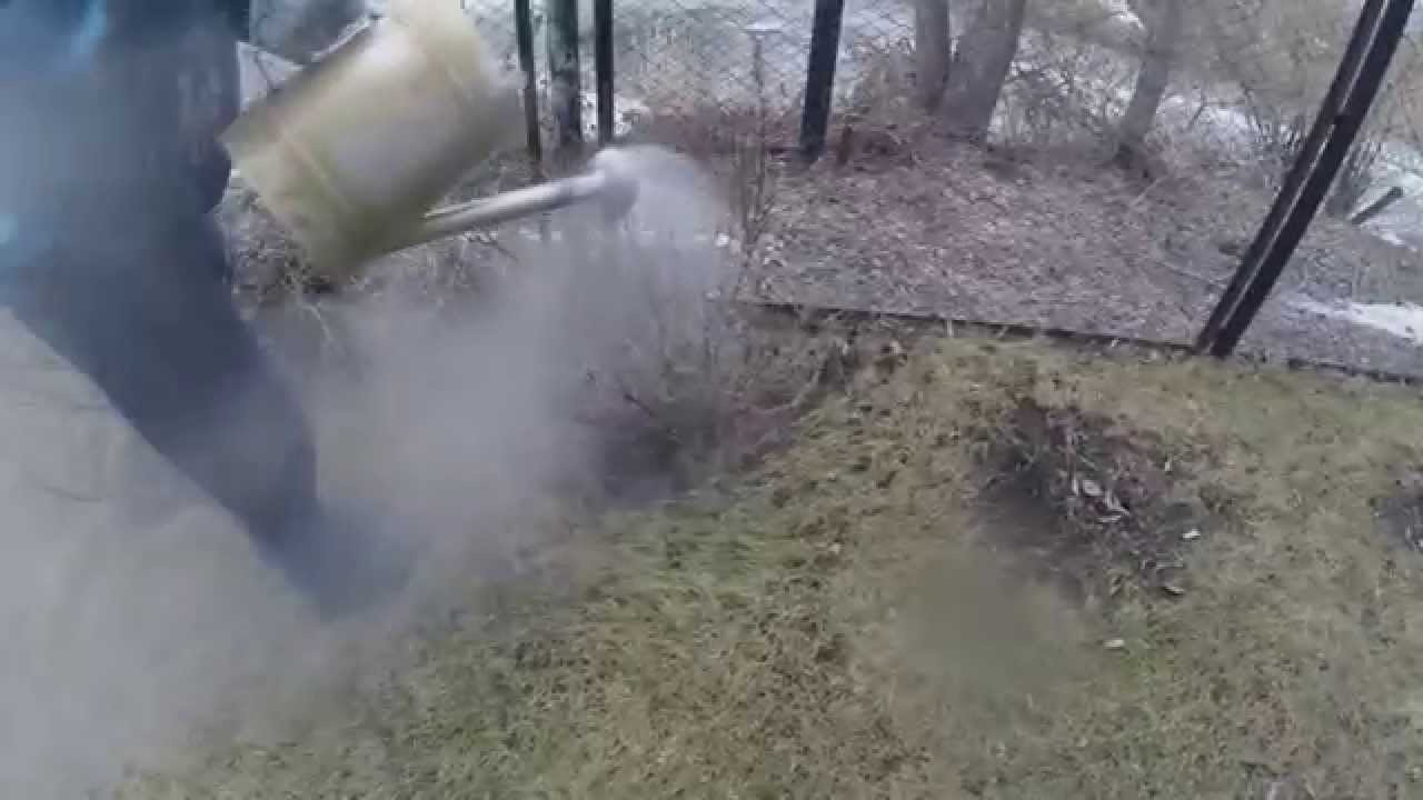 Полив кипятком от одуванчиков