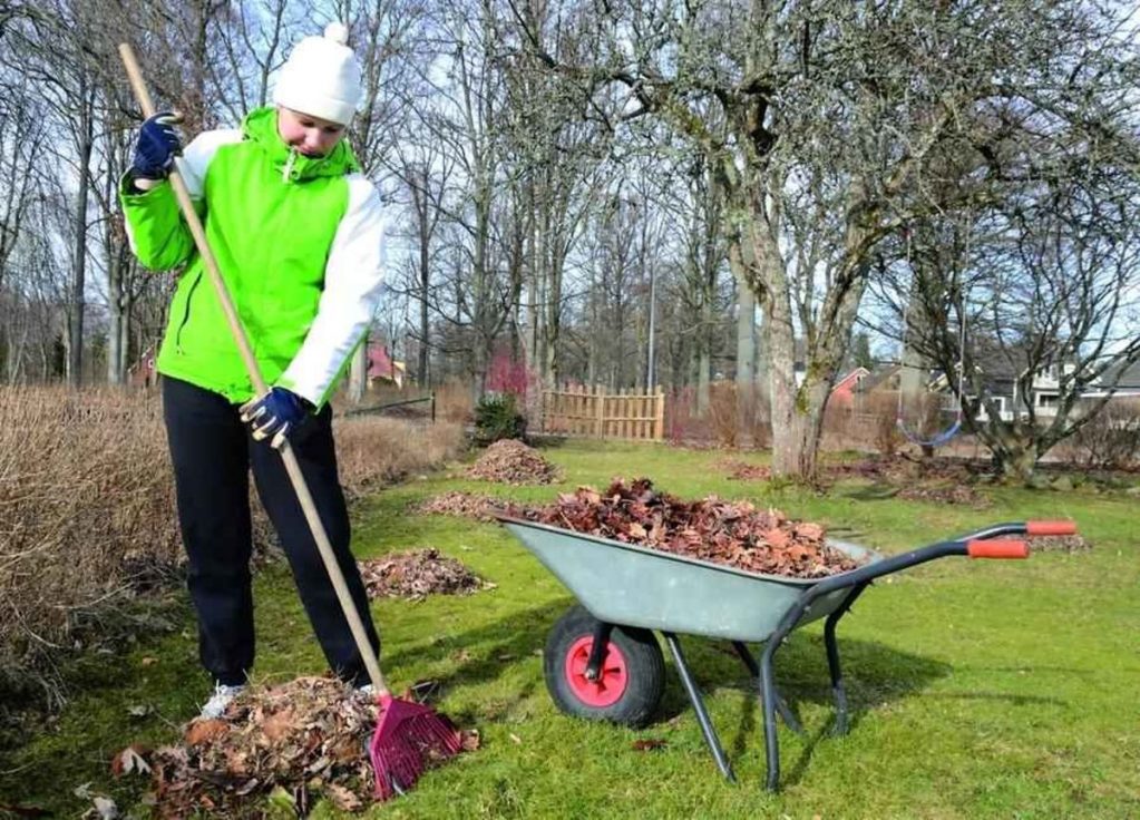 Садовые работы в марте