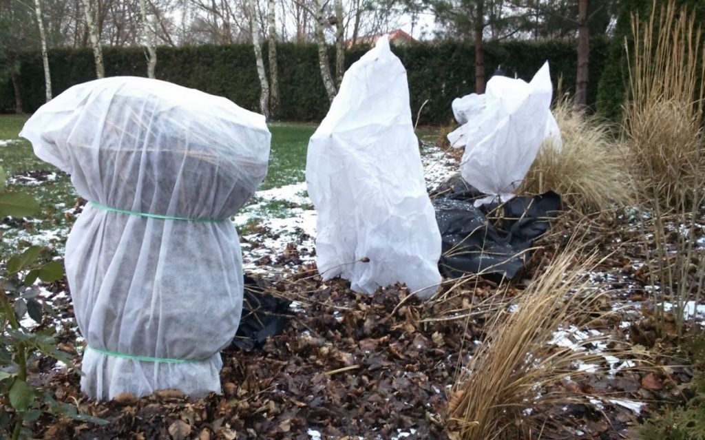 Укрытие растений