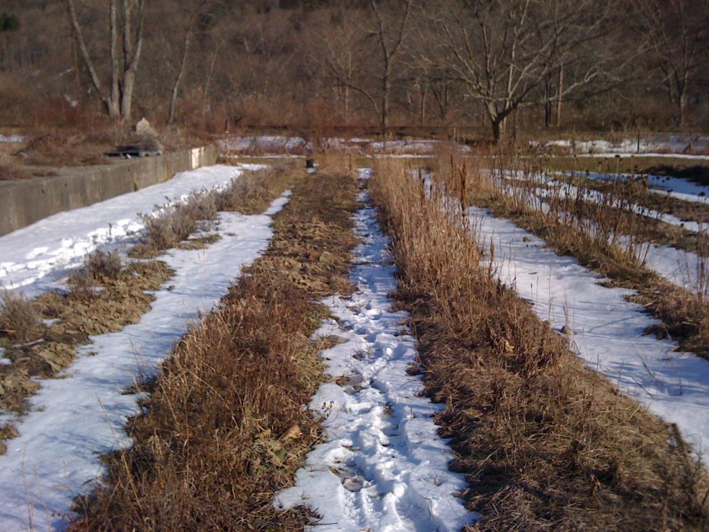 Момент таяния снег весной