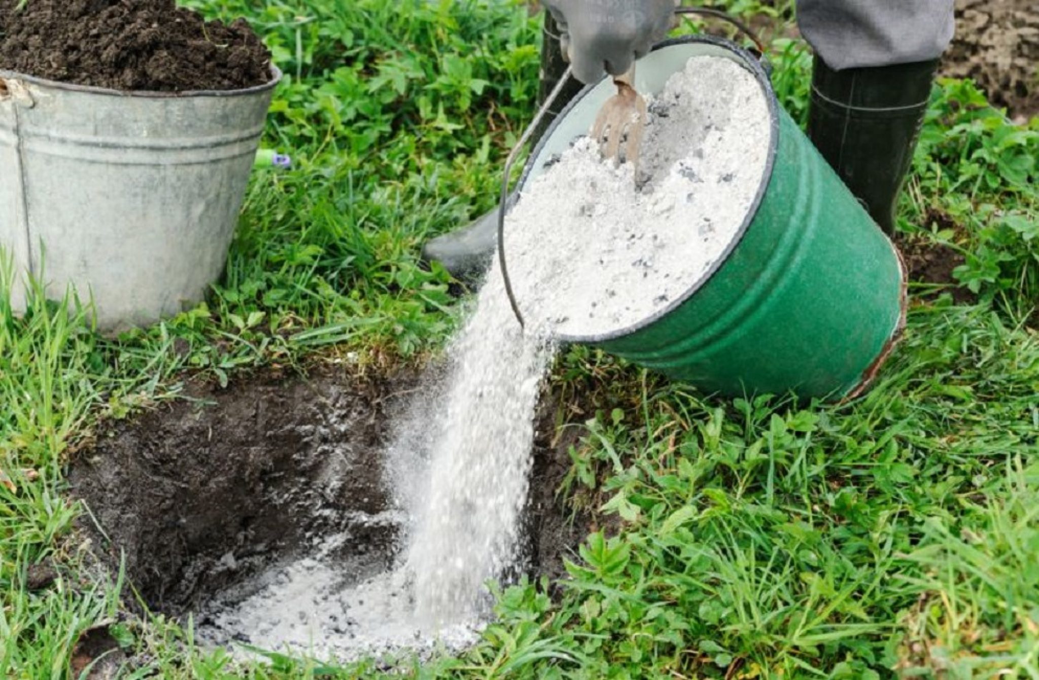 ТОП-20 Лучших Натуральных Удобрений для Огорода