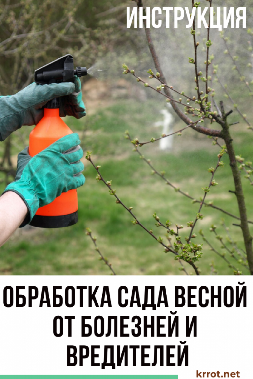 Обработка Сада Весной от Болезней и Вредителей