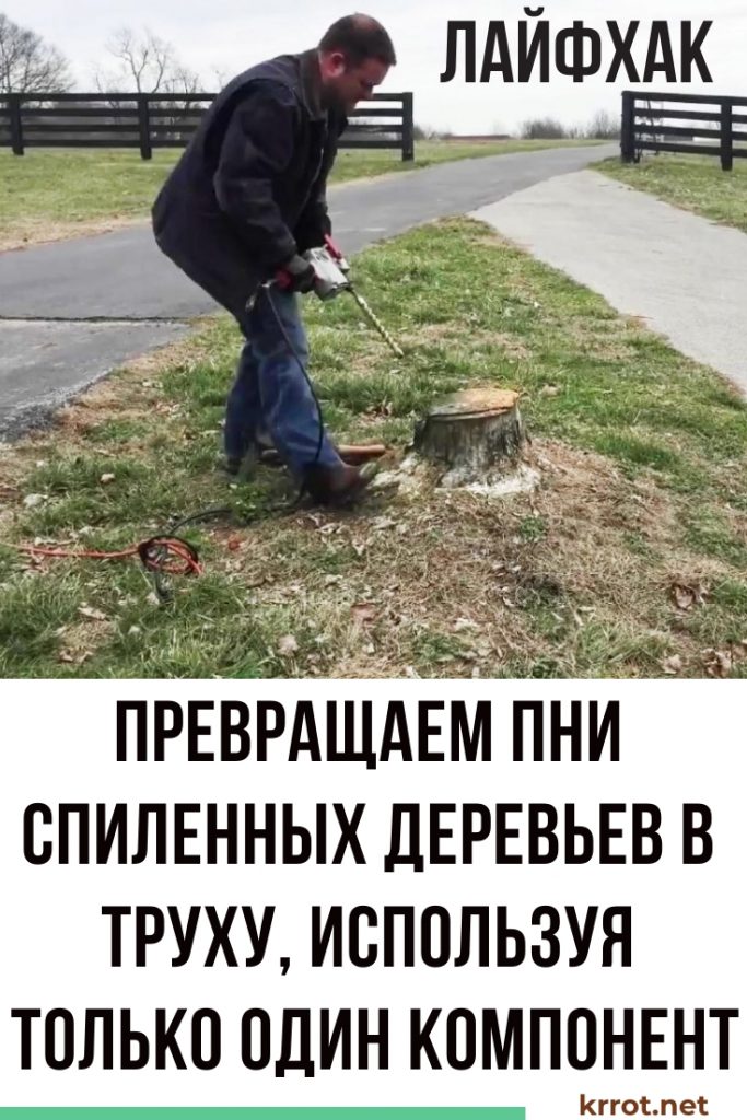 избавляемся от пня