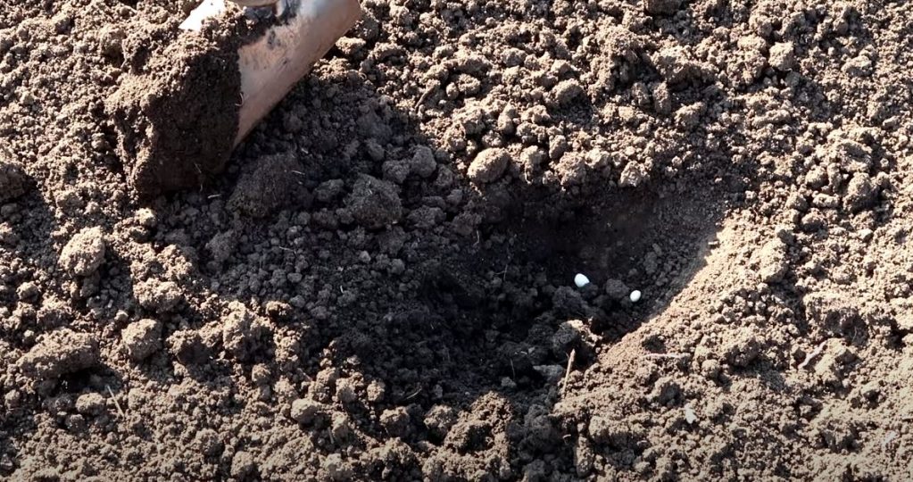 А посадку семян легко проводить тремя легкими движениями