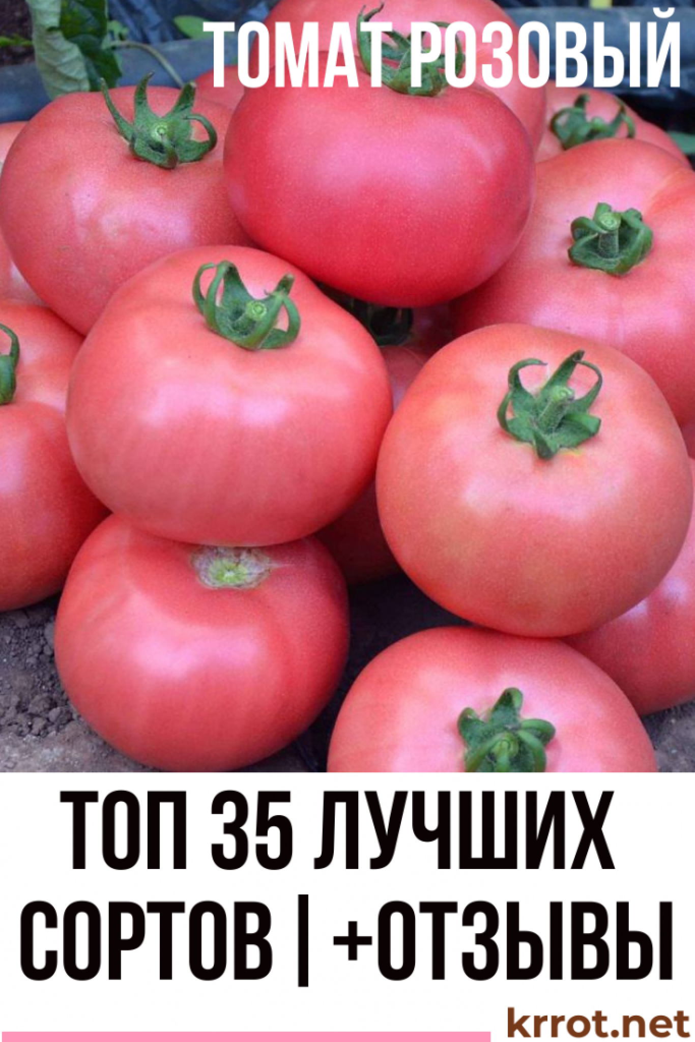 ТОП-35 Лучших Сортов Розовых Томатов | +Отзывы