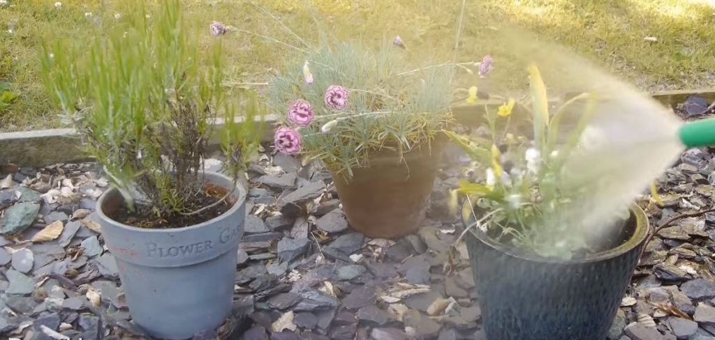 Разматываем шланг, открываем воду