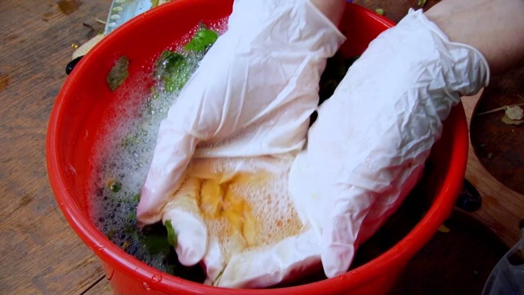 Приготовление отвара из чистотела