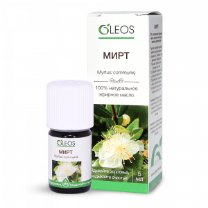 Мирт: Описание, Виды, Посадка, Уход | 25 Фото +Отзывы