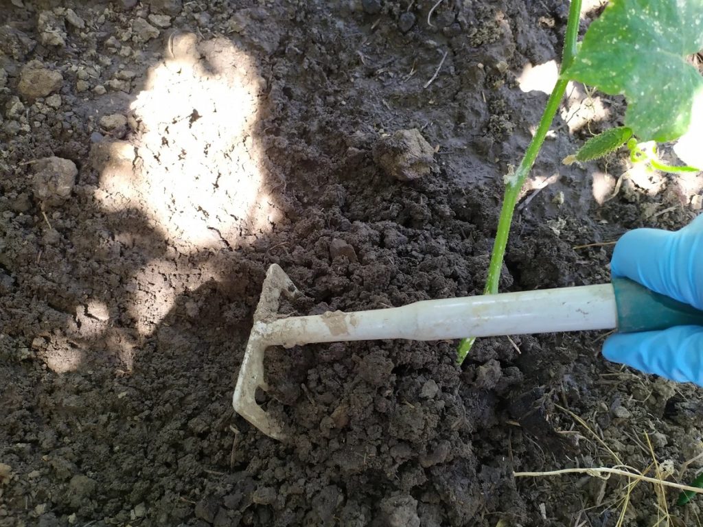 Окучивание куста