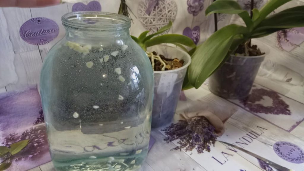 Чесночная вода